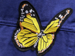 Jacket - 图片 5
