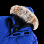 Jacket - 图片 4