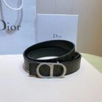 Belt - 图片 4