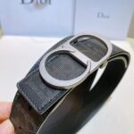 Belt - 图片 5