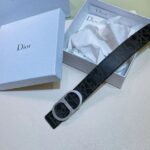 Belt - 图片 2