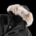 Jacket - 图片 3
