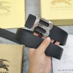 Belt - 图片 2
