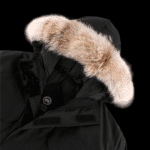 Jacket - 图片 3