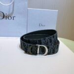 Belt - 图片 2