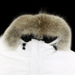 Jacket - 图片 3
