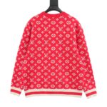 Hoodie - 图片 4