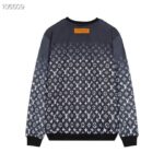 Hoodie - 图片 2