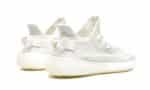 350 v2 Bone - 图片 3