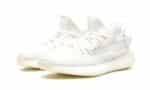 350 v2 Bone - 图片 2