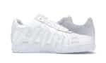 Cactus Plant Flea Market White - 图片 2