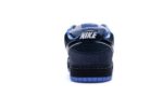 Concepts Blue Lobster - 图片 3