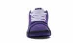 Concepts Purple Lobster - 图片 3