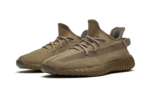 350 v2 Earth - 图片 2