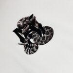 T-shirt - 图片 3