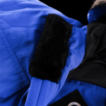 Jacket - 图片 7